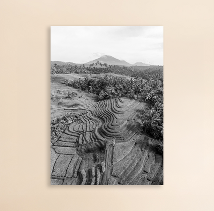 Photo Art Print - Batukaru