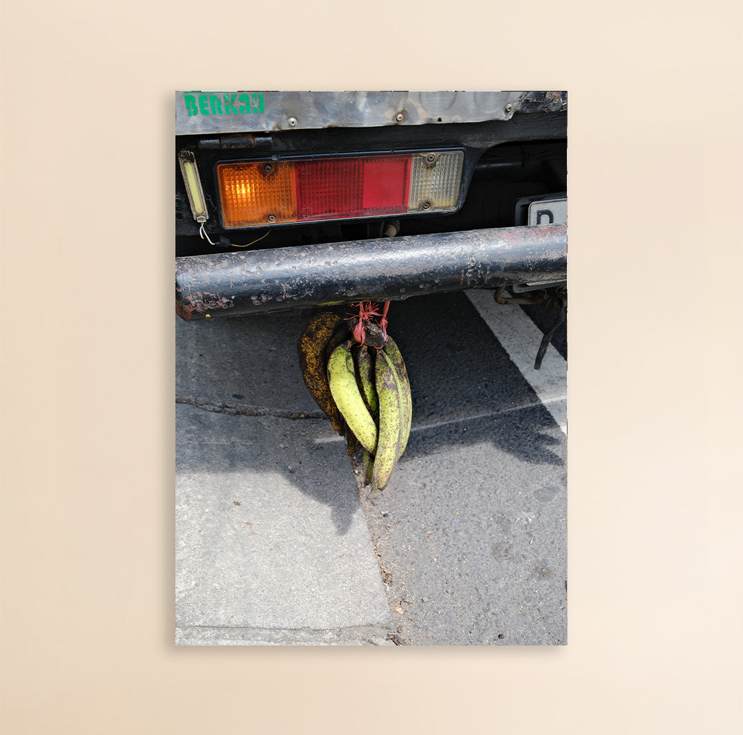 Photo Art Print - The Bali Bananas