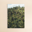 Photo Art Print - The Bali Jungle