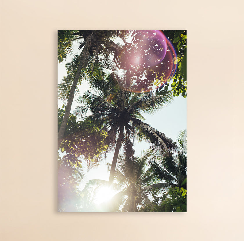 Photo Art Print - The Coconut Tree