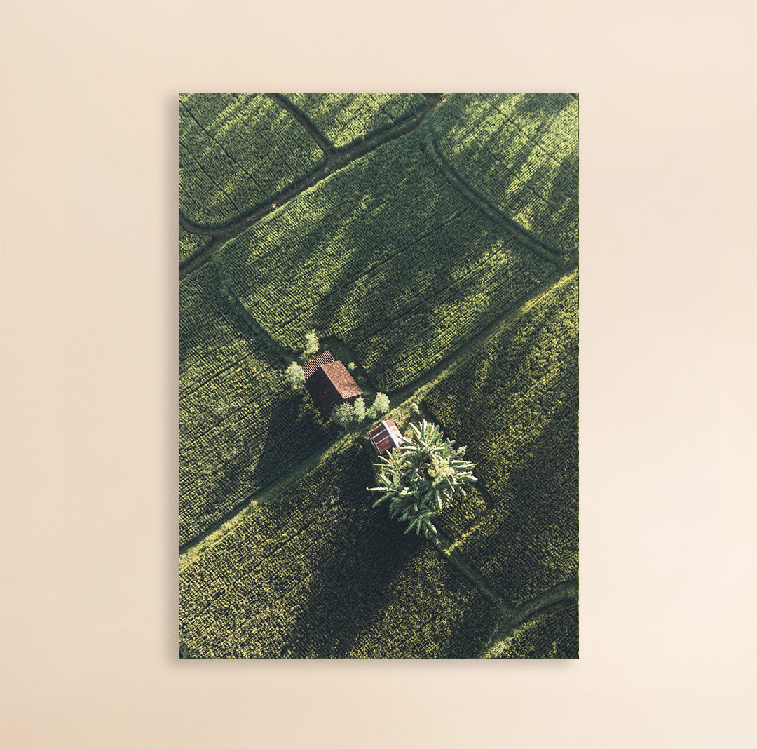 Photo Art Print - Lost in Bali