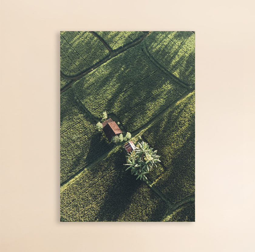 Photo Art Print - Lost in Bali