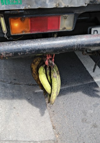 Photo Art Print - The Bali Bananas